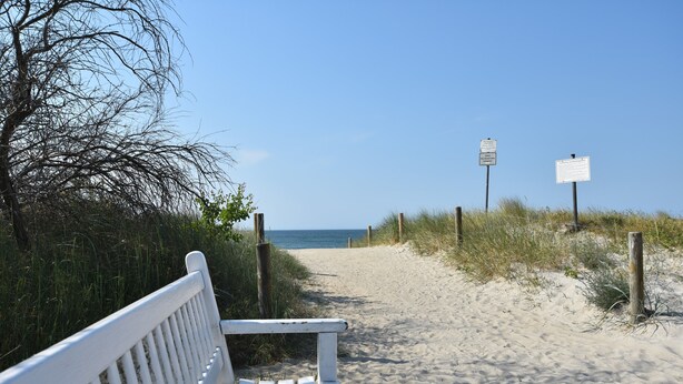A bench on a sandy path with a clear view of the beach and ocean. - Villa in Zingst Nahe Ostseestrand (Zingst)