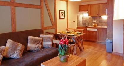 Traditional Apartment Just 300 m. From the Thermal Baths