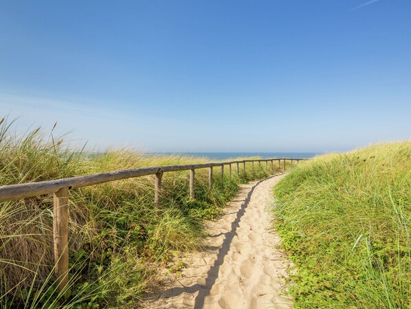 Chalet | View from property - Cozy Chalet in the Dune Region (Egmond aan den Hoef)