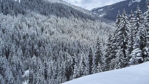 Ulkopuoli