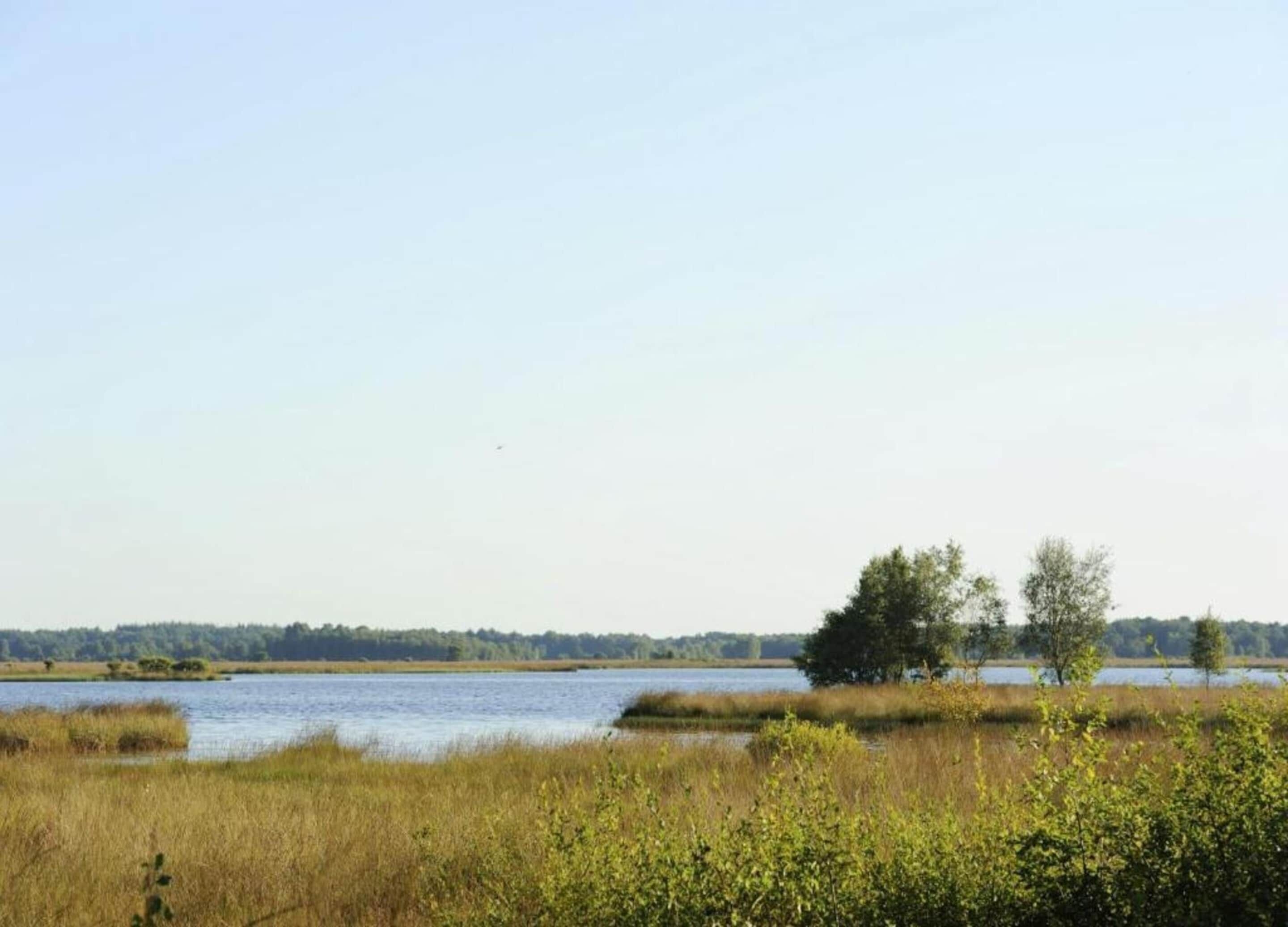 Utsikt fra overnattingsstedet