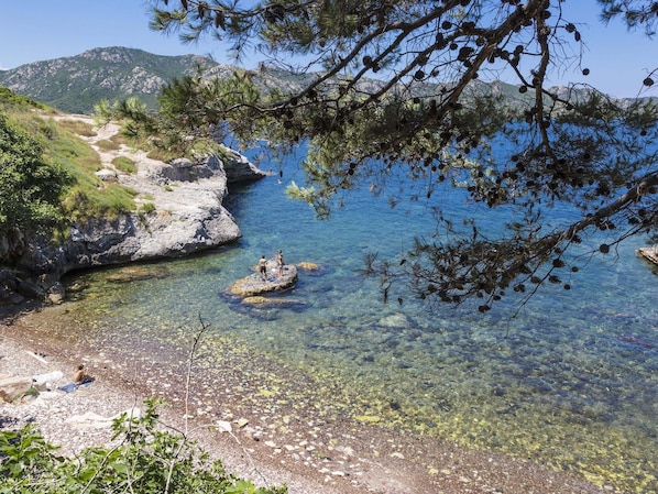 Exterior - Apartment in Corsica Near Beaches (Oletta)