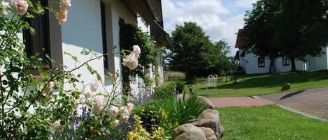 Ferienhaus | Außenbereich