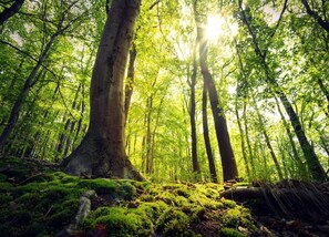 Apartment | Blick von der Unterkunft