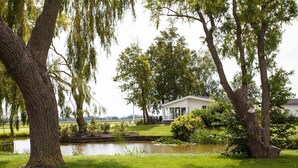 Una casa con uno stagno, circondata da alberi e vegetazione.