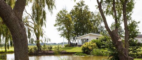 A house with a pond, surrounded by trees and greenery.