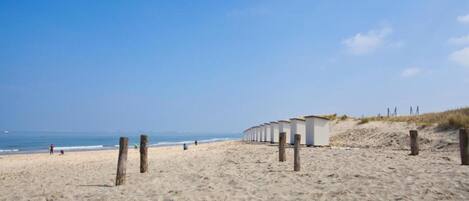 House | View from property