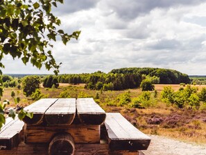 Exterior - Tidy Furnished Chalet With a Combi Microwave, in the Veluwe (Epe)