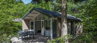 Tidy Furnished Chalet With a Combi Microwave, in the Veluwe