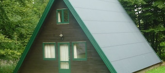 Detached Wooden Holiday Home near Twistesee Lake
