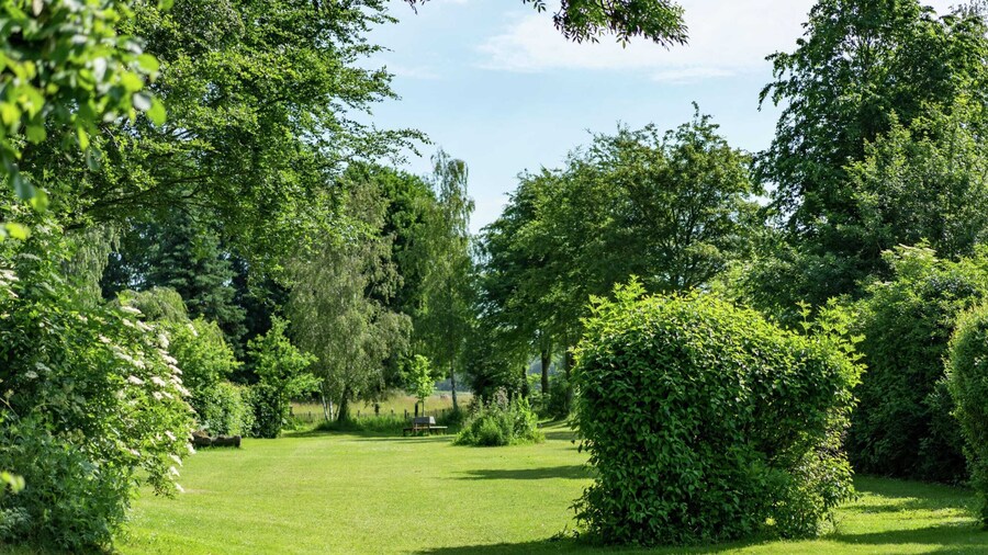Detached Chalet in Tranquil Dutch Countryside