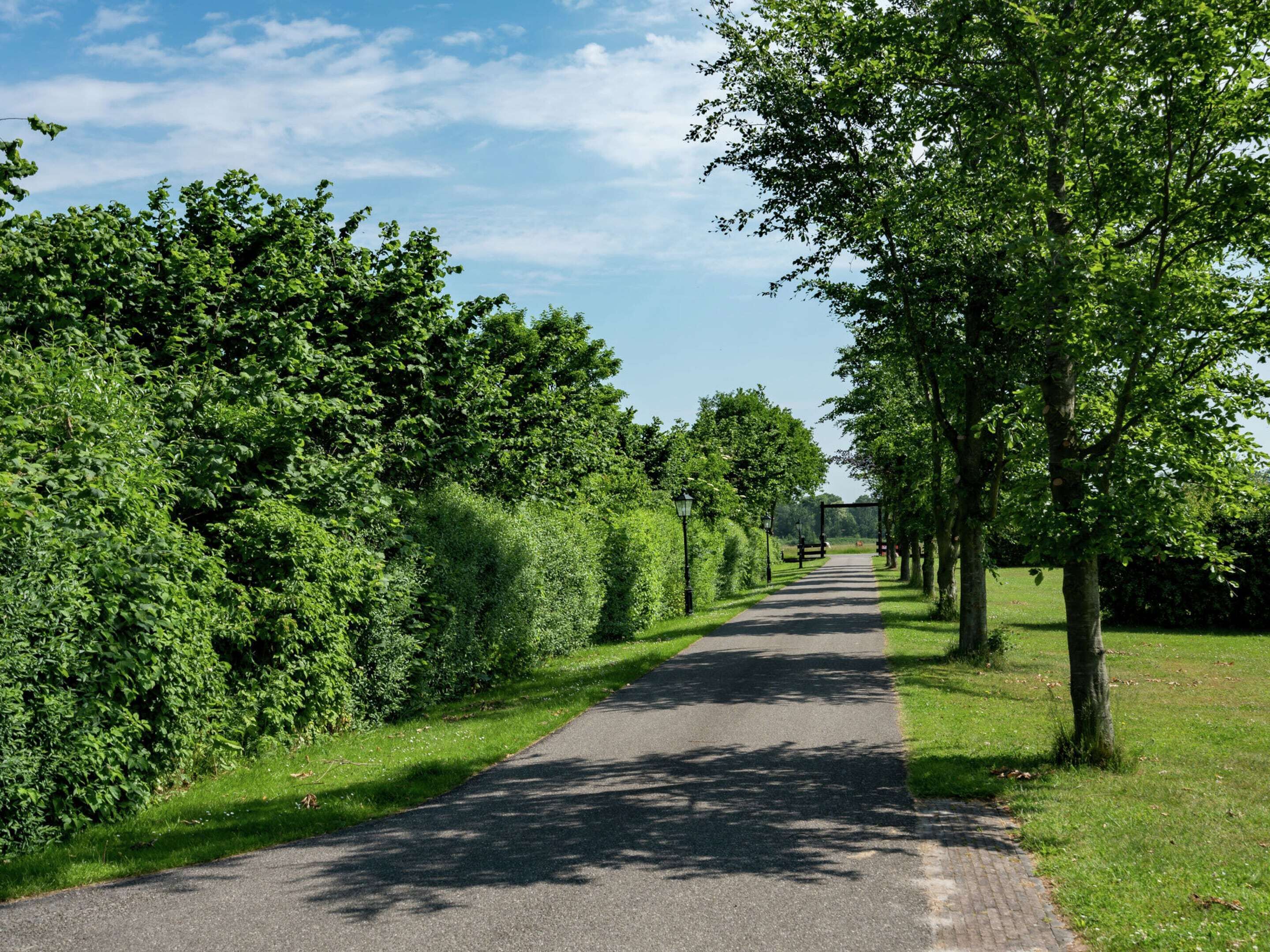A paved pathway flanked by lush green hedges and trees, leading towards a distant point.