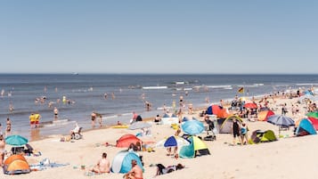 House | Pemandangan dari hartanah