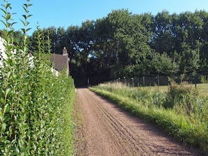Exterior - Comfy Holiday Home in Oostkapelle With Garden (Oostkapelle)