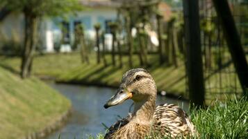 Villa | Interior detail