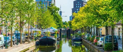 Ein Kanal, gesäumt von Bäumen und parkenden Autos, mit Gebäuden an beiden Seiten.