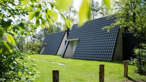 A modern house with a sloped roof, surrounded by a well-maintained lawn and trees. - Chalet Near Trails & Forest (Hoenderloo)