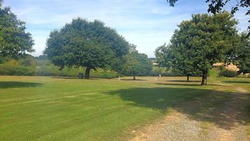 A grassy field with trees and a dirt path.