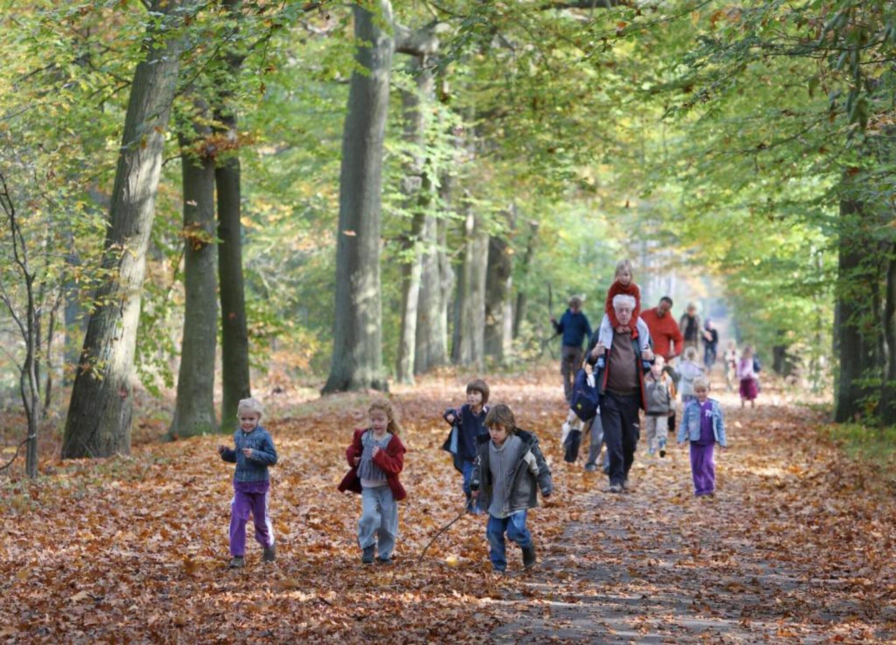 A forest path with people walking.