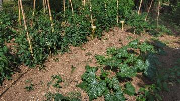 Rumah | Halaman properti