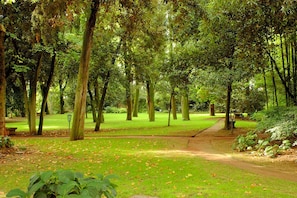 حديقة