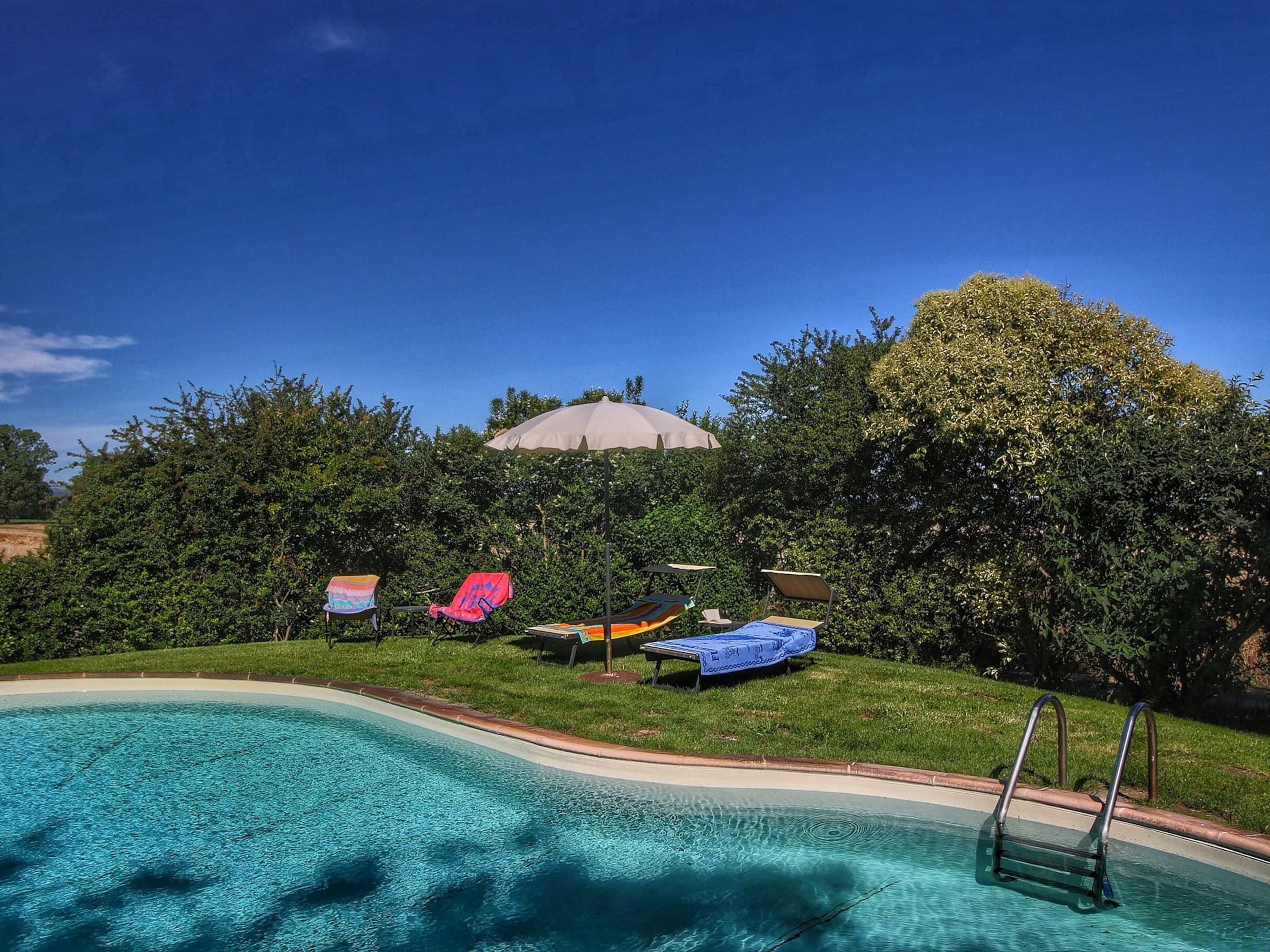 A swimming pool with lounge chairs and umbrellas, surrounded by greenery and a large tree.