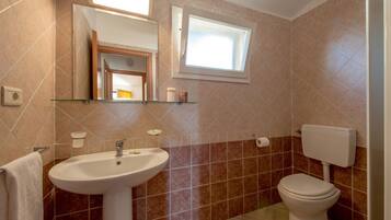 Maison | Salle de bain | Douche