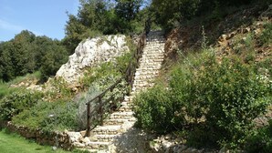 Uma escadaria de pedra serpenteando por uma colina, rodeada por vegetação e árvores.