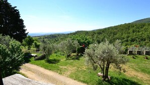 A rural landscape with a dirt path leading through a field of trees and a distant view of mountains. - Scenic Apartment With Pool (Figline e Incisa Valdarno)