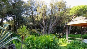 Un jardin agrémenté de diverses plantes, d’un bassin et d’une pergola.