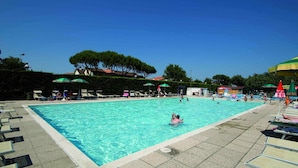 A swimming pool with lounge chairs and umbrellas, surrounded by trees and buildings.