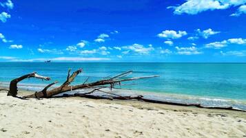 Mobil Karavan | Pemandangan dari properti