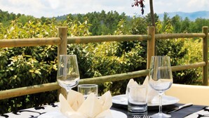 Une table dressée avec de l’argenterie, des verres à vin et un verre à eau, offrant une vue sur un jardin luxuriant et des montagnes lointaines.