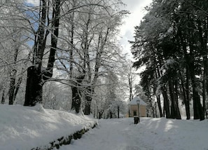 Apartment | View from property - Alpine Comfort Stay, Cavalese (Cavalese)