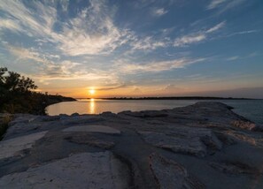 House | View from property - Apartment in Albarella Near Sandy Beach (Rosolina)