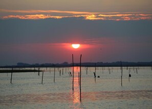 Maison | Vue depuis l’hébergement