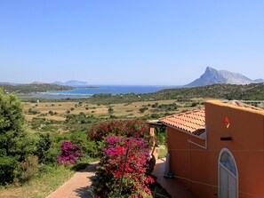 Exterior - Well-kept Apartment With two Bedrooms not far From the sea (Loiri Porto San Paolo)