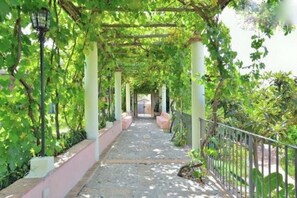 Exterior - Mansion in Parghelia Near Coast of the Gods (Parghelia)