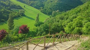 Ländliche Landschaft mit einer Holzbrücke und üppigen grünen Feldern.