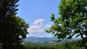 Ein grünes Feld mit einer hölzernen Bank und einem Baum im Vordergrund, das zu einer Aussicht auf ferne Berge unter blauem Himmel führt.