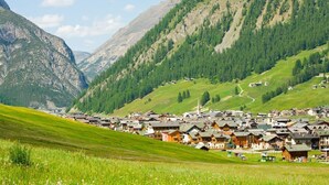Exterior - Splendid Holiday Home in Livigno Italy Near Ski Area (Livigno)