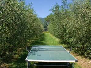House | Property grounds - Holiday Home in Cortona (Cortona)
