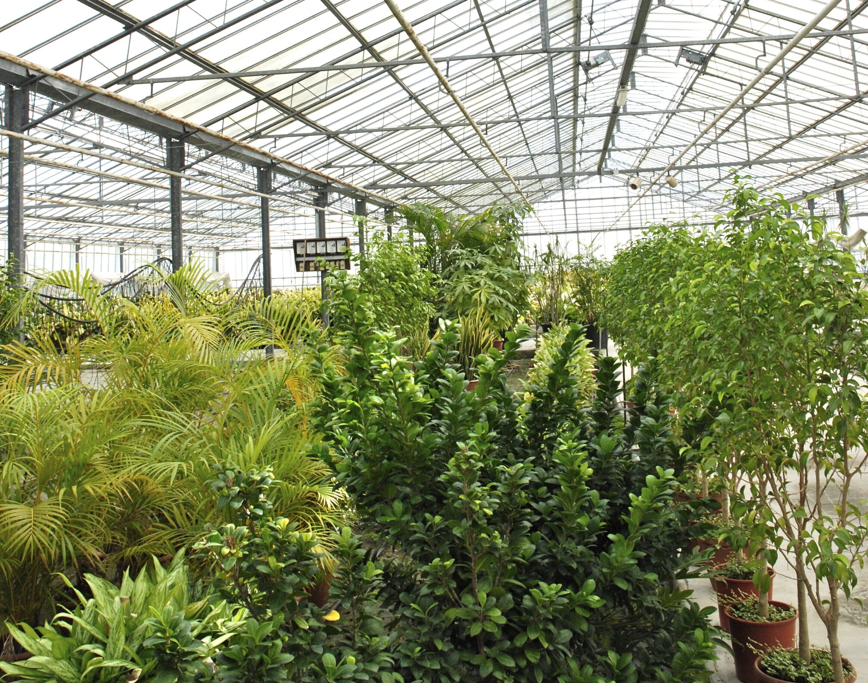 Casa | Vista dalla struttura