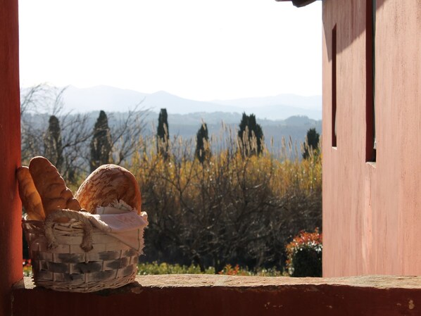 Vista desde la propiedad