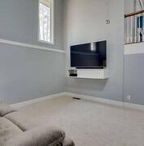 TV, fireplace, DVD player, books