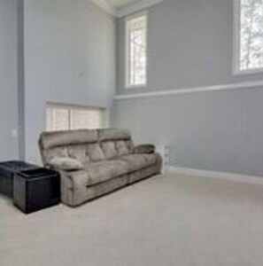 TV, fireplace, DVD player, books
