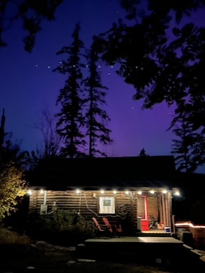 Exterior - Cozy Log Cabin in Pristine Nature (Nelson)