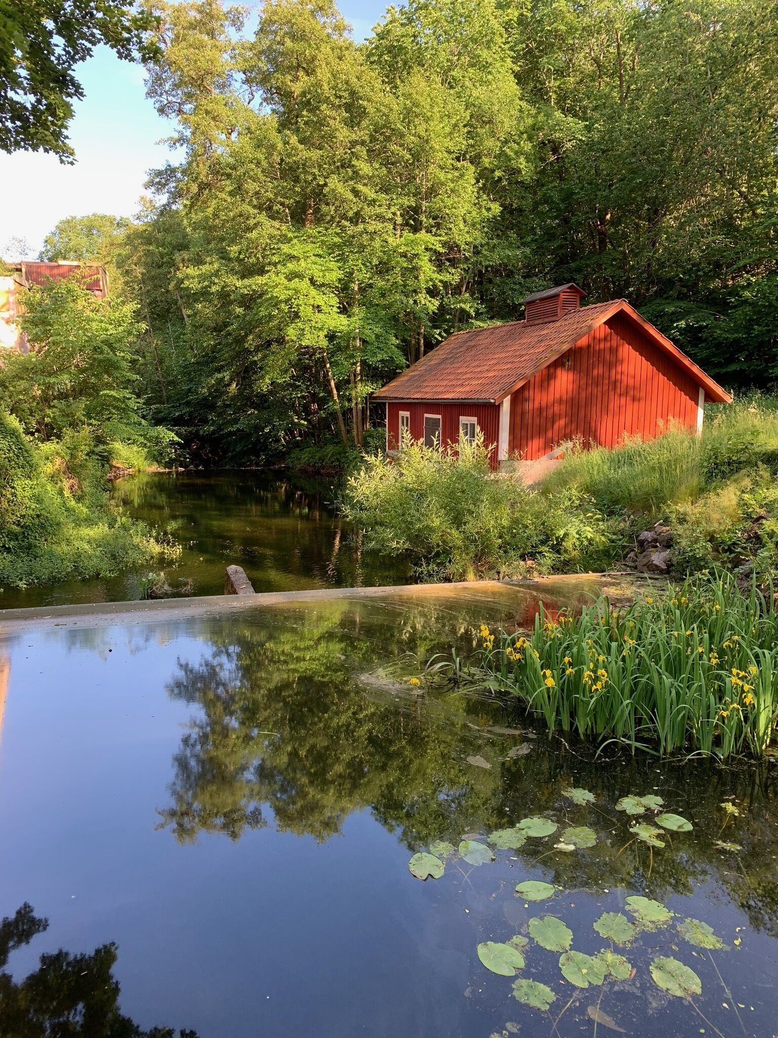 Uitzicht op het water