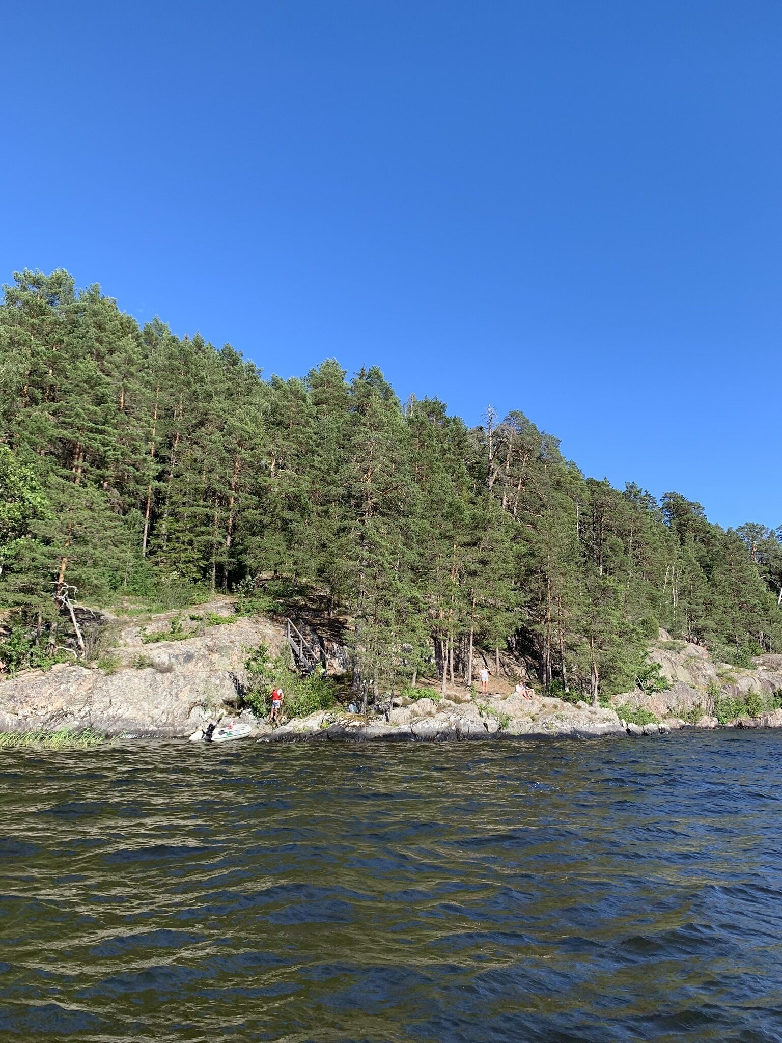 A riverbank with dense forest and rocky terrain.