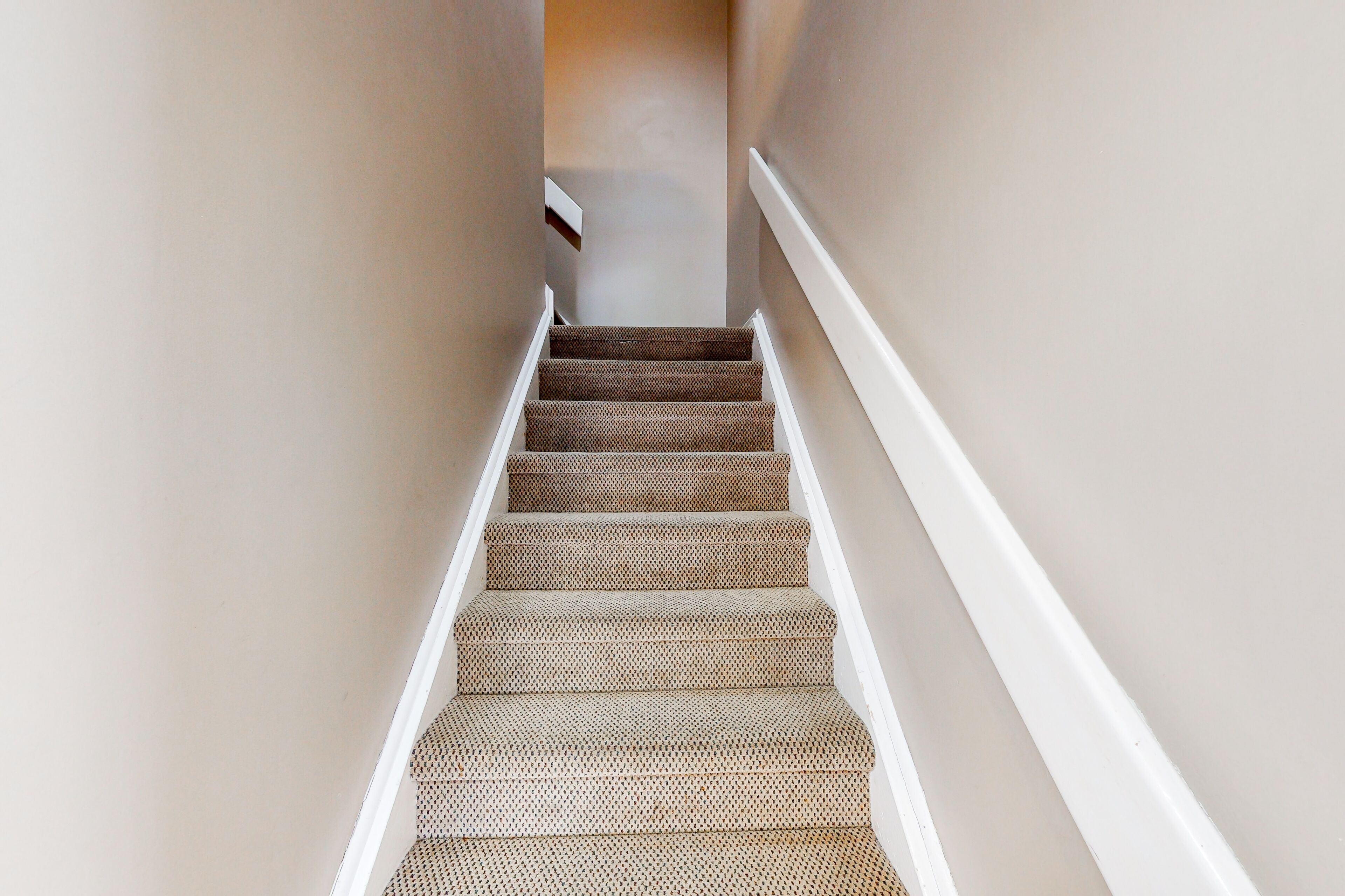 A staircase with a patterned carpet and white trim.